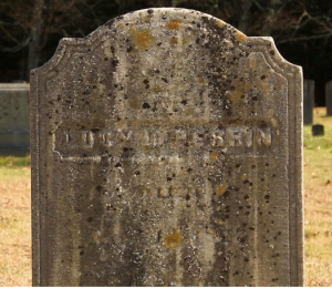 Grave of Lucy D. Perrin